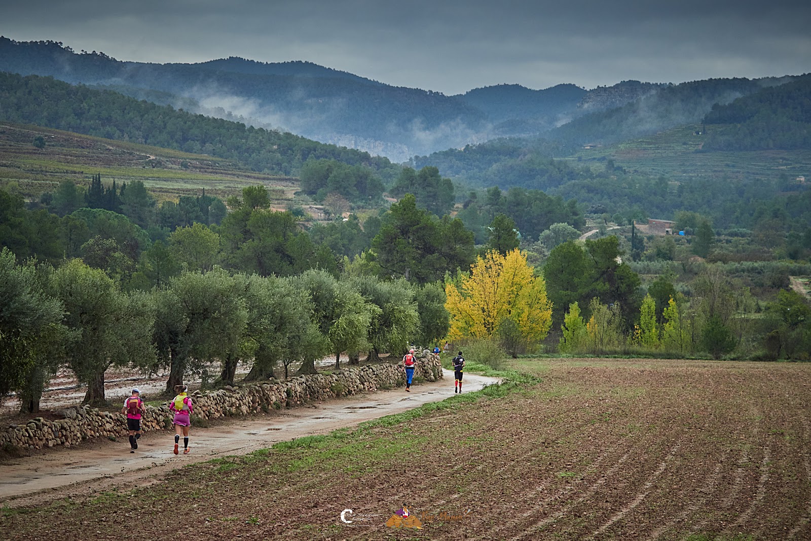 The_Bandit_2024-11-01_09.13.14_Jordi_Santacana_Fotografia.jpg
